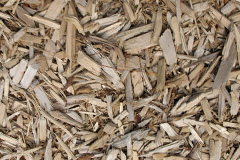 biomass boilers Longwood