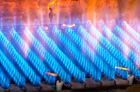 Longwood gas fired boilers